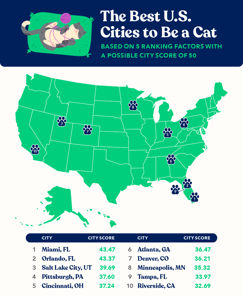 Best Cat Cities in the U.S., OneVet graphic