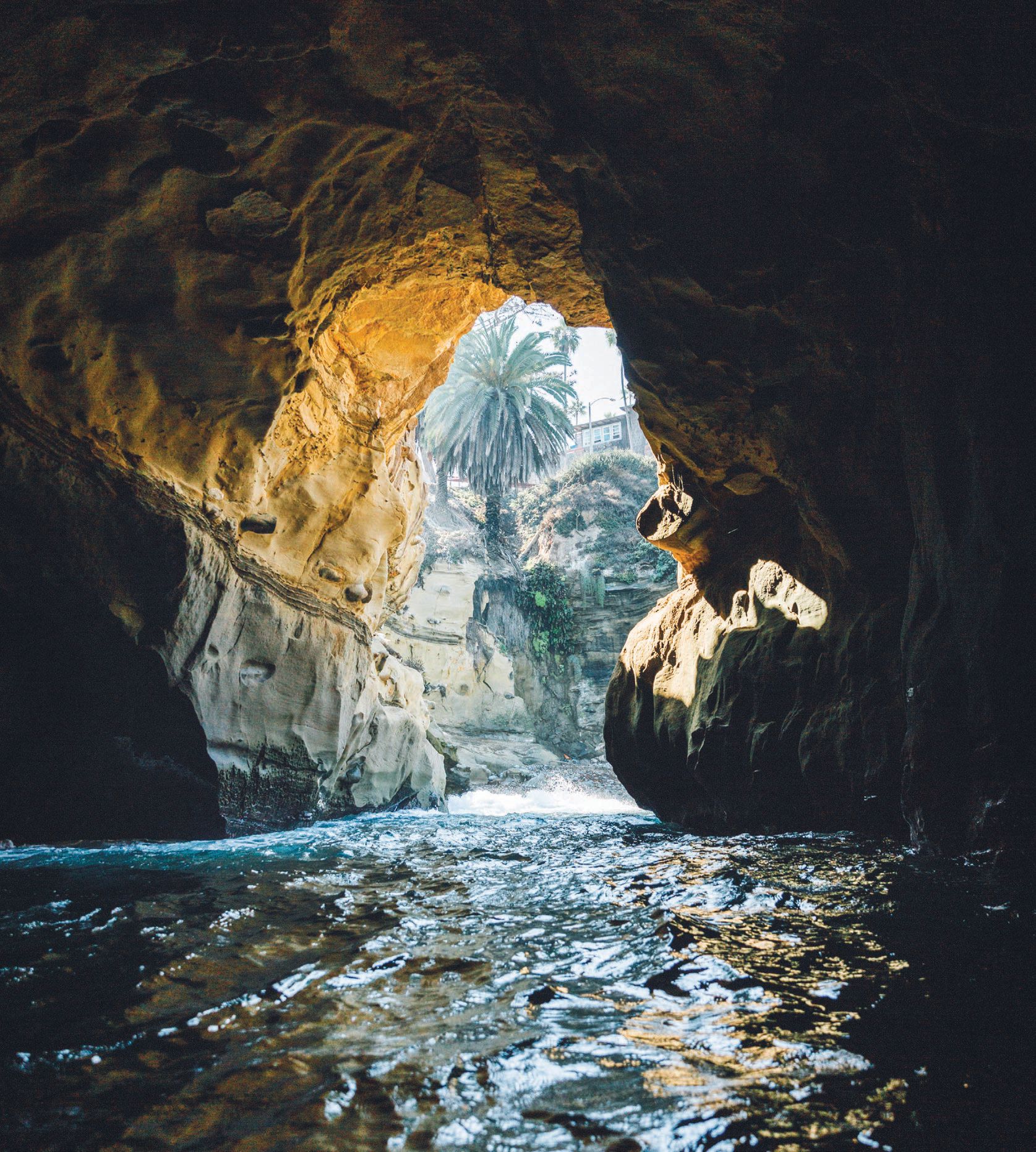 From kayaking in caves to whale watching, Everyday California offers adventure seekers unique experiences in San Diego. PHOTO COURTESY OF EVERYDAY CALIFORNIA