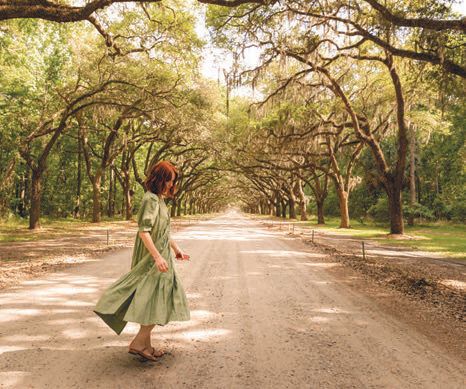 The Southern coast, known for amazing canopies of Spanish moss and live oaks, is the perfect place to explore natural wonders. PHOTO COURTESY OF SAVANNAH PLANT RIVERSIDE DISTRICT