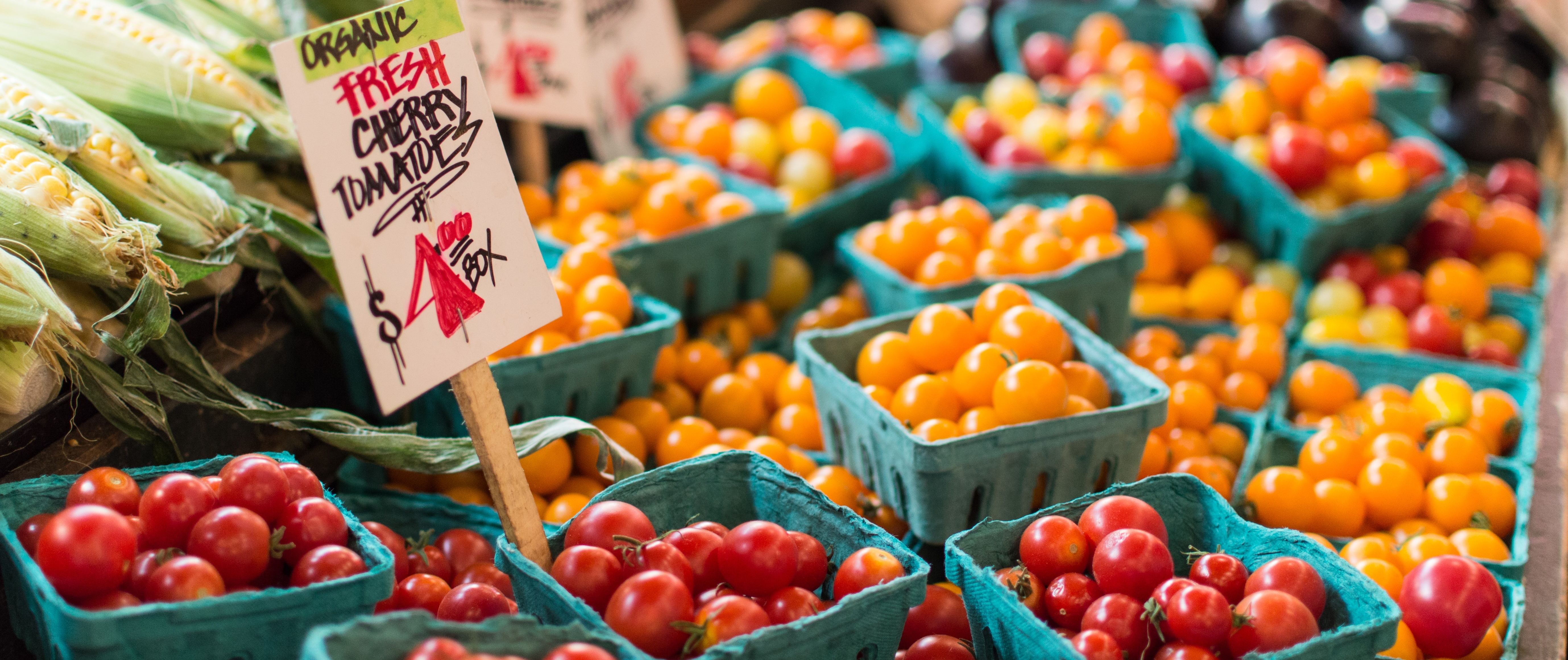 An Uptown NYC Guide to Local Farmers Markets