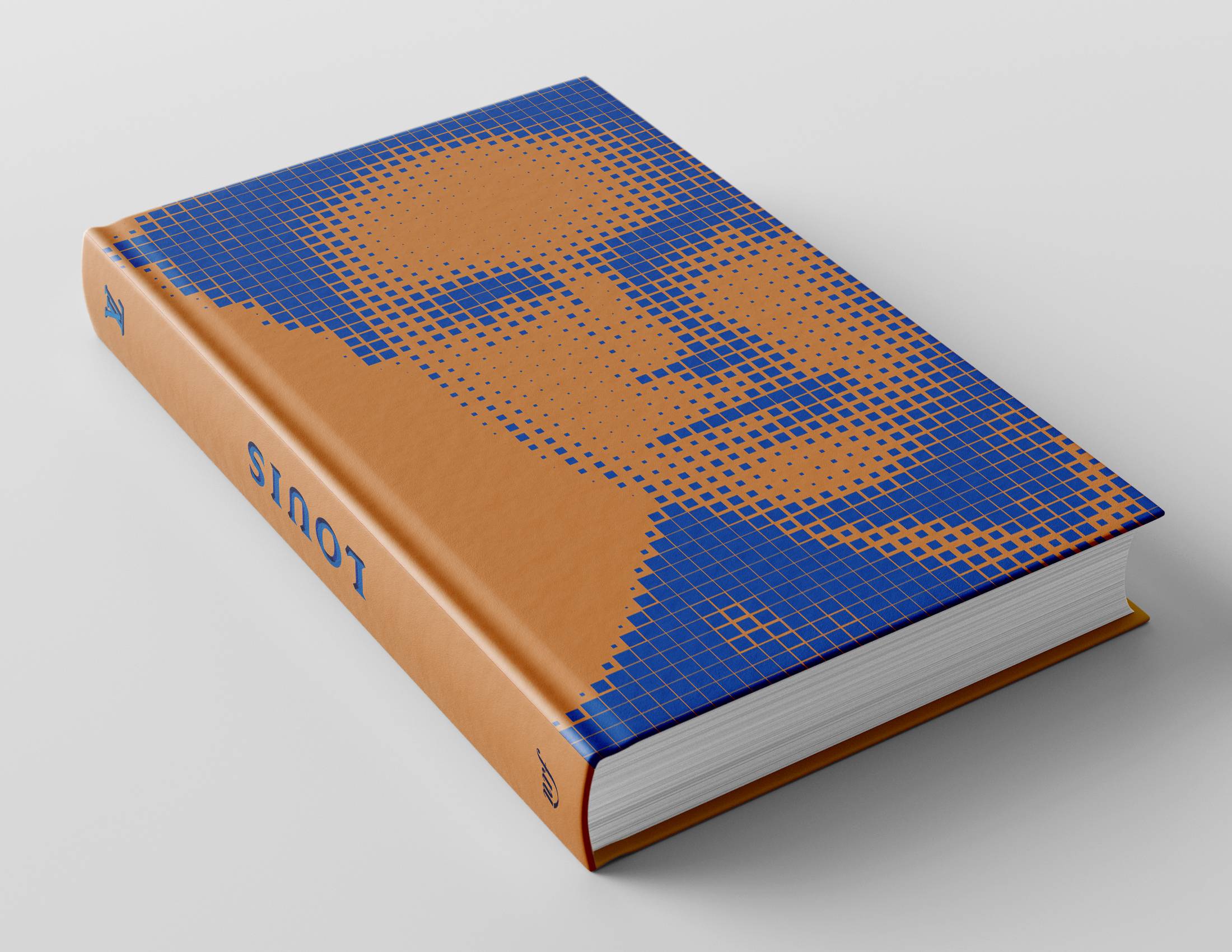 Louis Vuitton: l'audacieux novel cover
