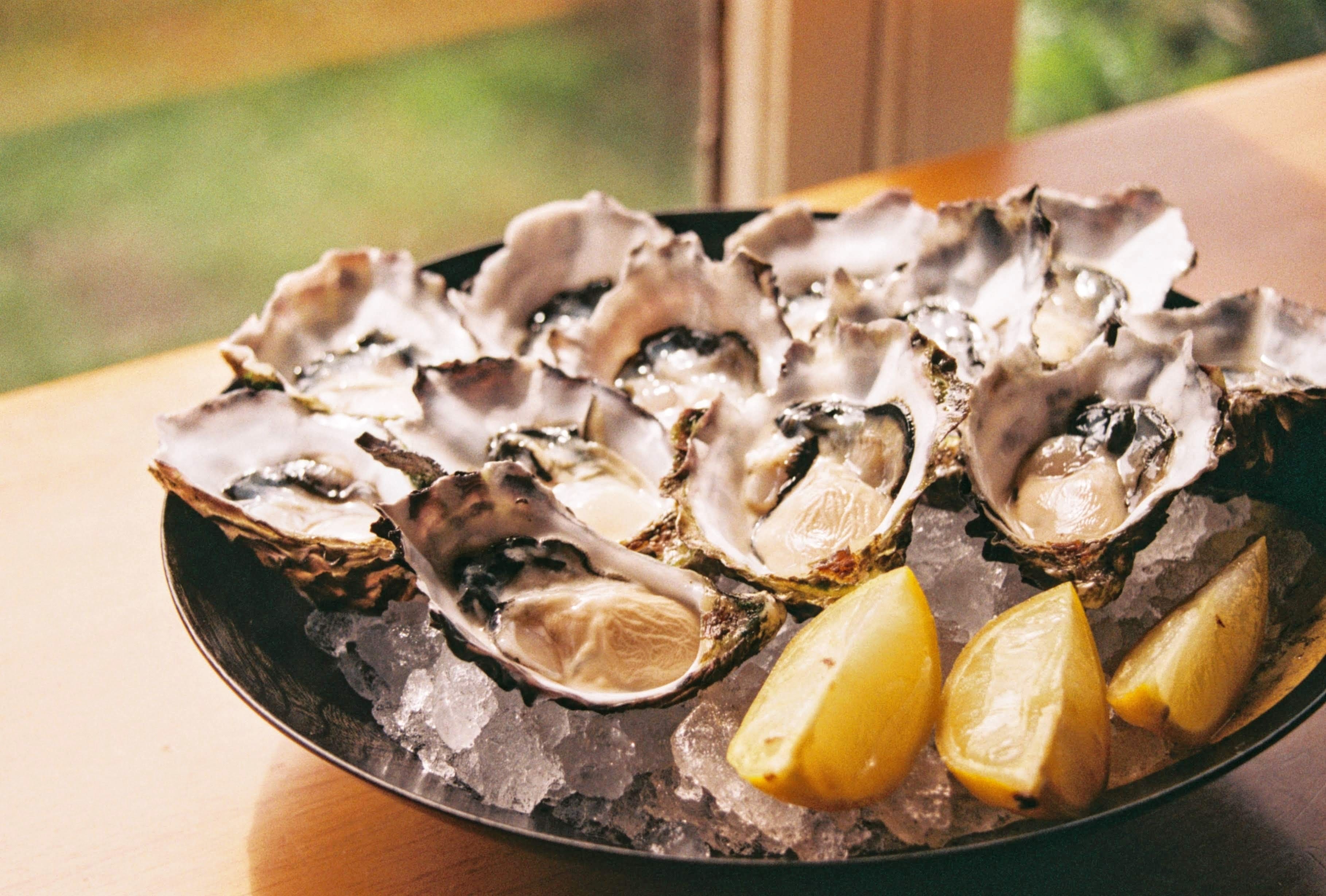 oystersreal.jpg