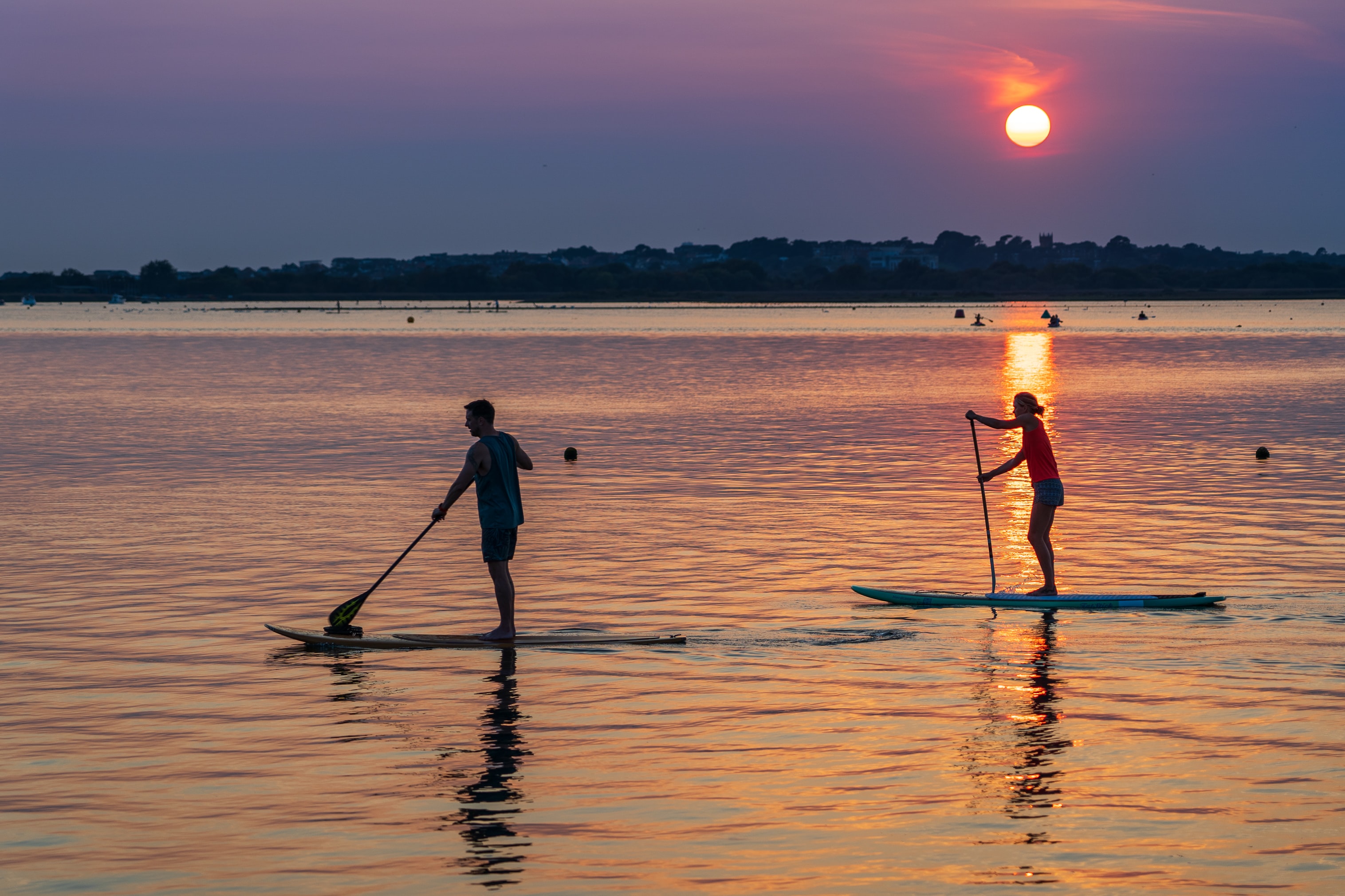 a couple paddleboarding in the sunset