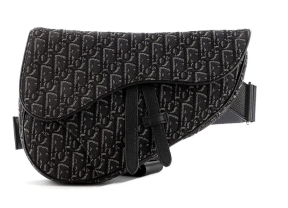 Christian Dior Saddle Crossbody Bag Oblique Canvas