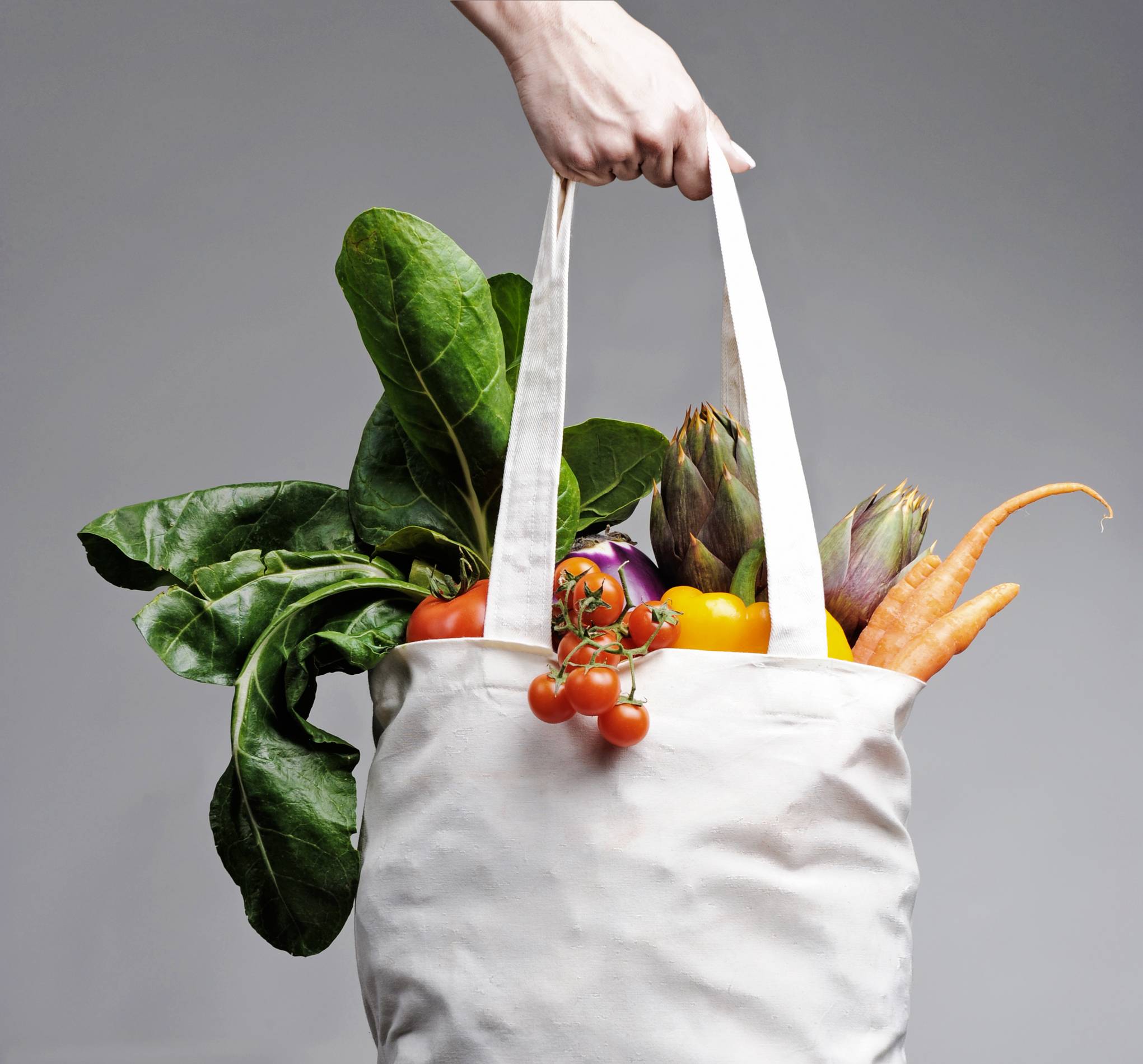 someone holds a bag of groceries overflowing with fresh produce