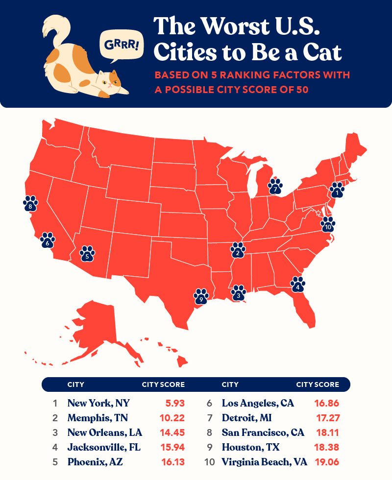 Worst Cat Cities in the U.S., OneVet graphic