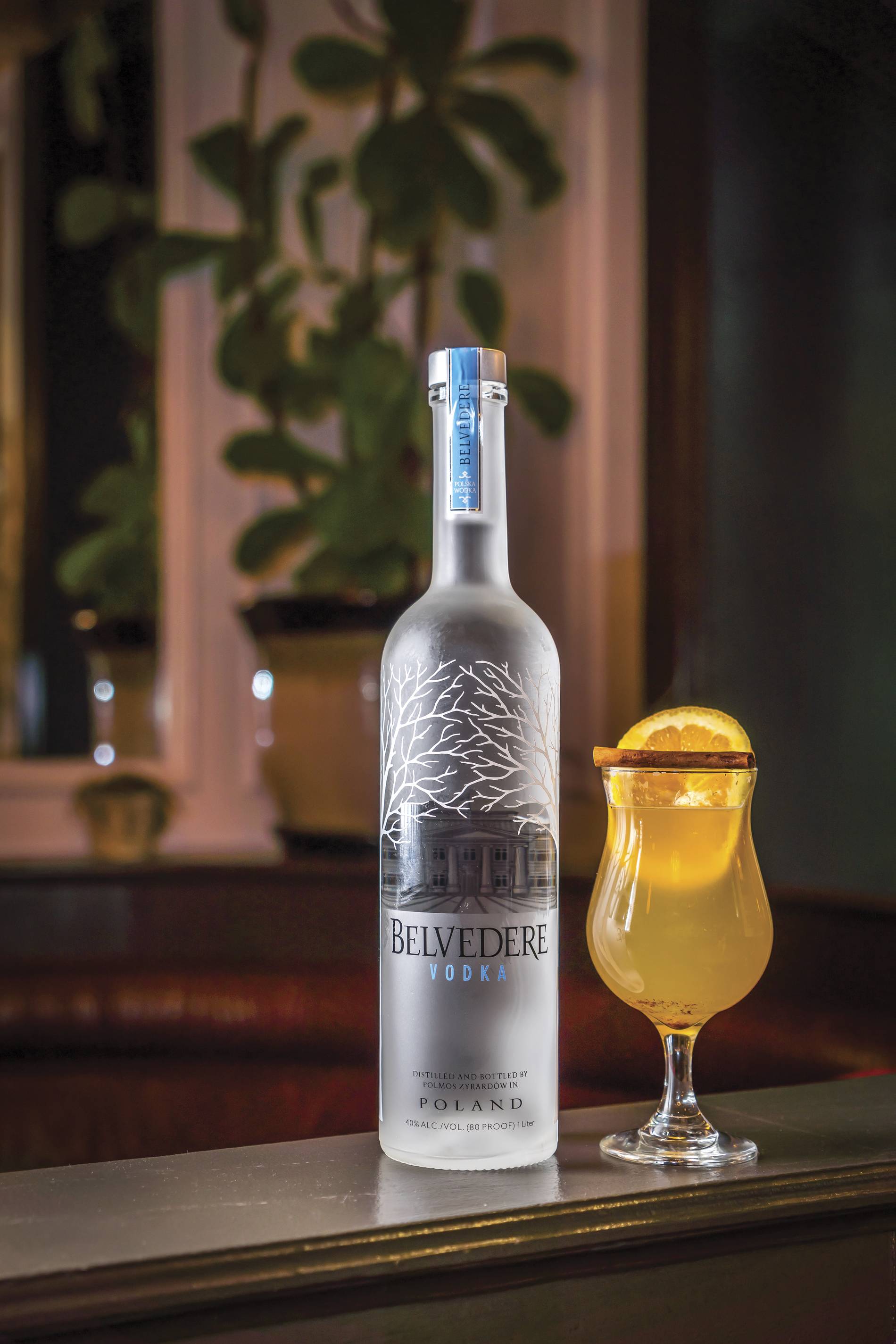 hot toddy by belvedere